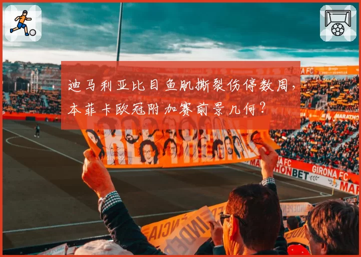 迪马利亚比目鱼肌撕裂伤停数周，本菲卡欧冠附加赛前景几何？