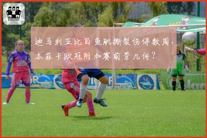 迪马利亚比目鱼肌撕裂伤停数周,本菲卡欧冠附加赛前景几何?