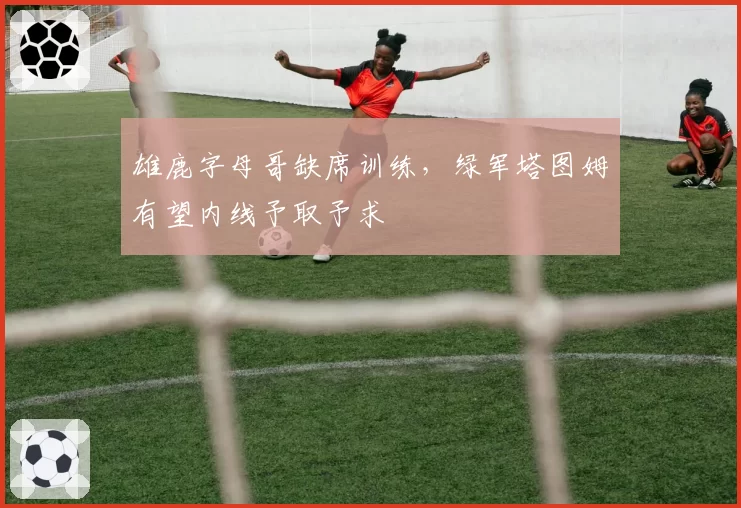 雄鹿字母哥缺席训练,绿军塔图姆有望内线予取予求