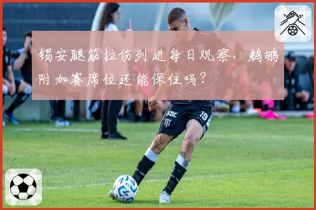 锡安腿筋拉伤列进每日观察，鹈鹕附加赛席位还能保住吗？